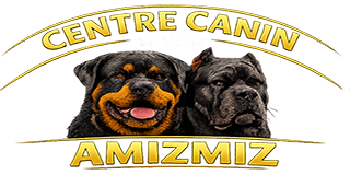 Centre Canin Amizmiz